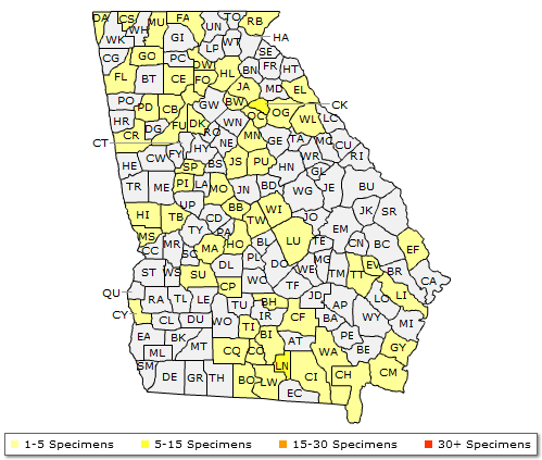 The range of Platanus occidentalis